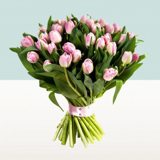 Romantyczne tulipany