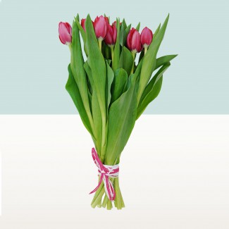 10 tulipanów