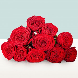 10 czerwonych róż